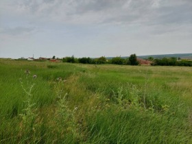 For Sale Plot