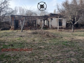 ������ ������� ������