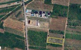 ����� ������� ������,�. �������, ������ �������