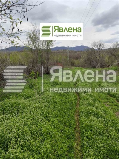 Продава  Парцел област Видин , с. Дъбравка , 1552 кв.м | 43899193 - изображение [8]