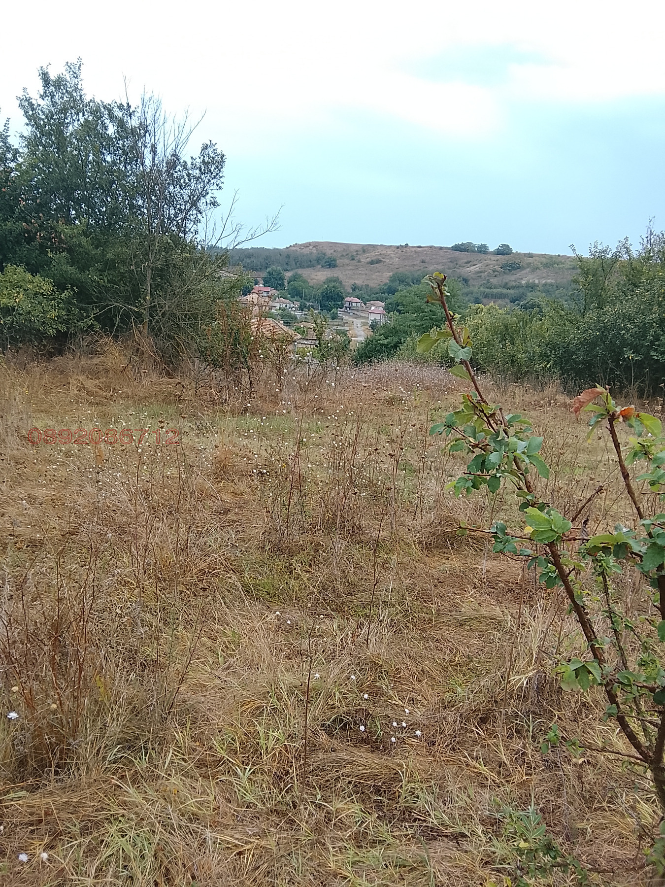 Продава ПАРЦЕЛ, с. Брестак, област Варна, снимка 2 - Парцели - 56330618