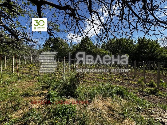 Продава КЪЩА, с. Осеново, област Варна, снимка 8 - Къщи - 55932224