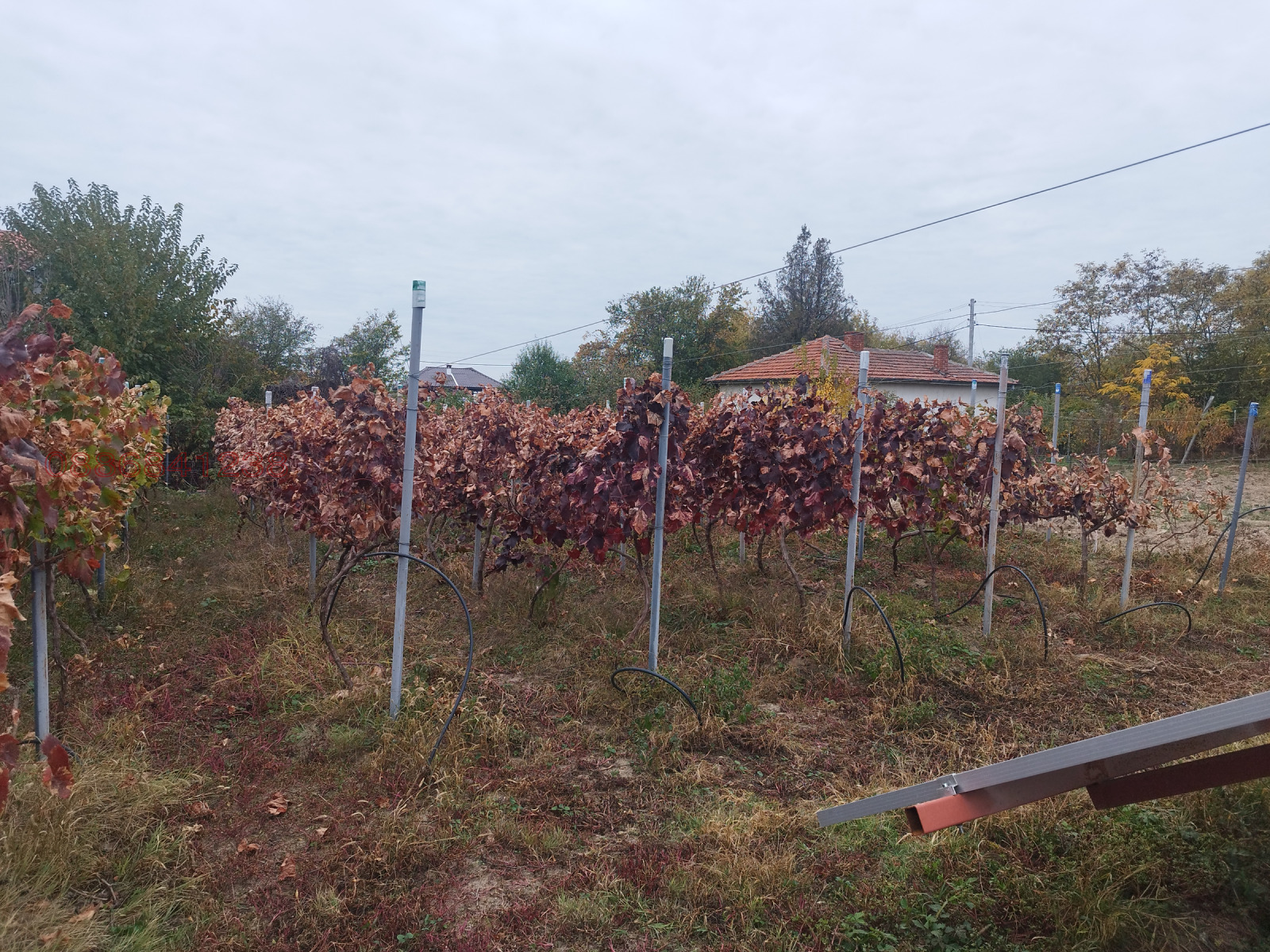 ������� ���� | Imot.bg � ����������� 7