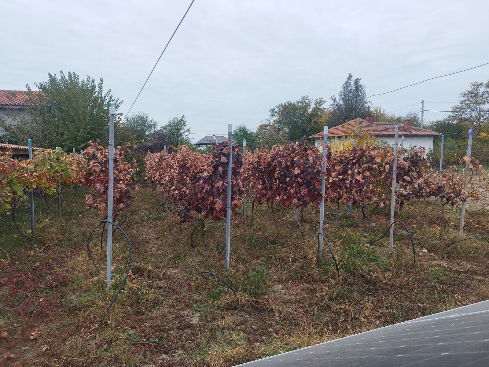 ������� ���� | Imot.bg � ����������� 8