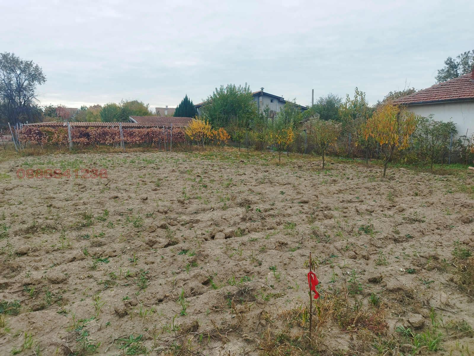 ������� ���� | Imot.bg � ����������� 12