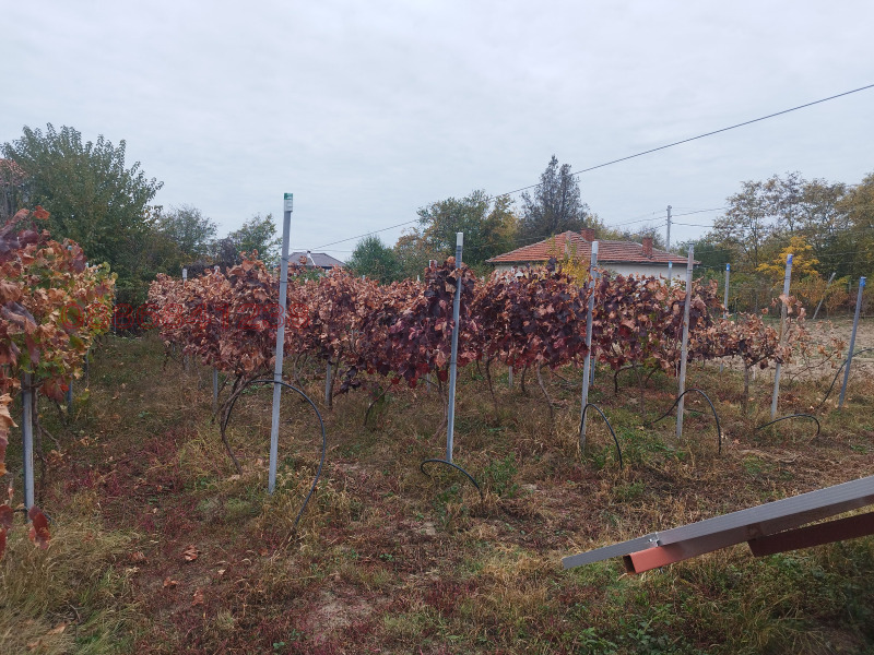 Продава КЪЩА, с. Памукчии, област Стара Загора, снимка 7 - Къщи - 53171921