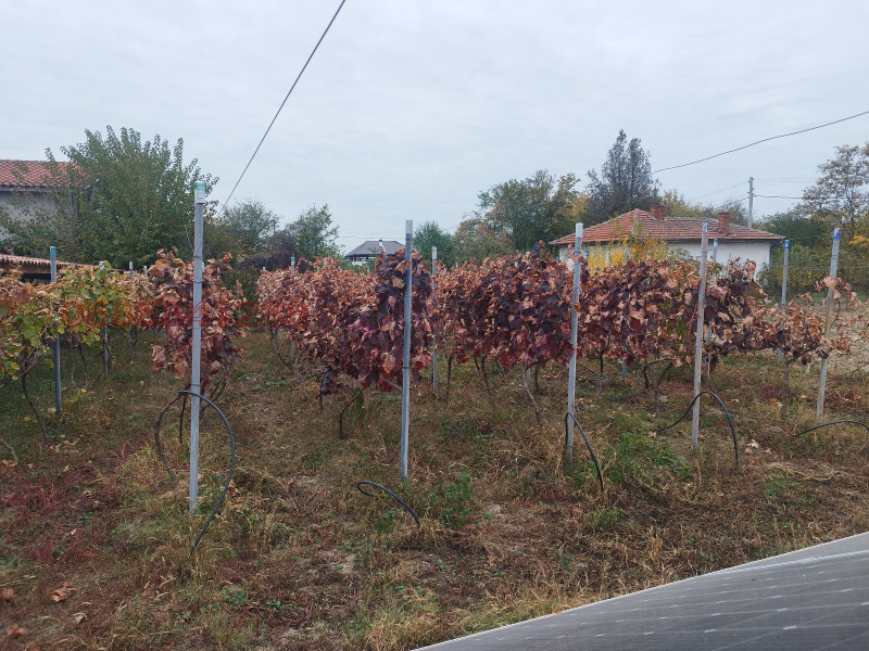 Продава КЪЩА, с. Памукчии, област Стара Загора, снимка 8 - Къщи - 53171921