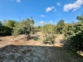 Продава КЪЩА, с. Ценово, област Русе, снимка 14