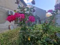 Продава ЕТАЖ ОТ КЪЩА, град Русе, Център • 48000 € • 96703552 — Holmes.bg