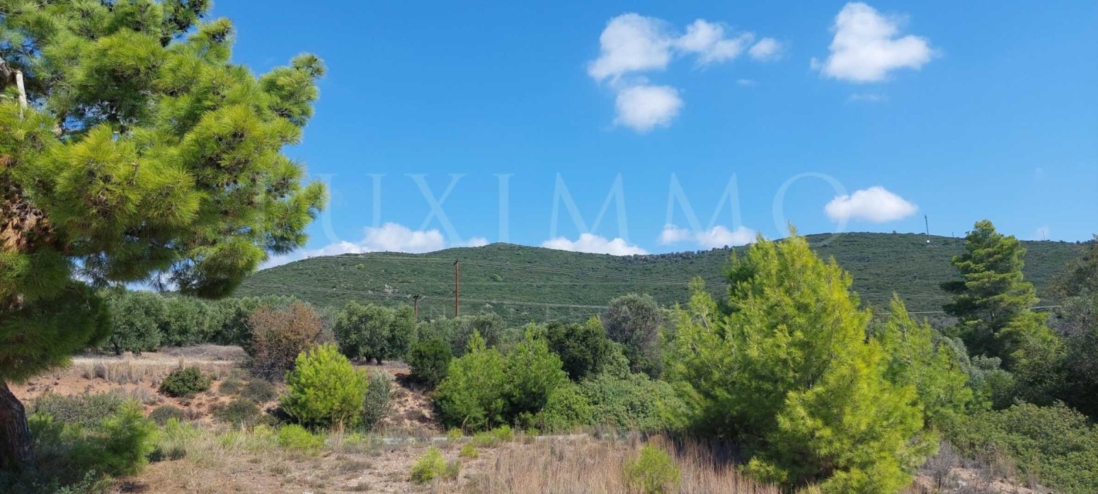 Продава ПАРЦЕЛ | Imot.bg — изображение 8