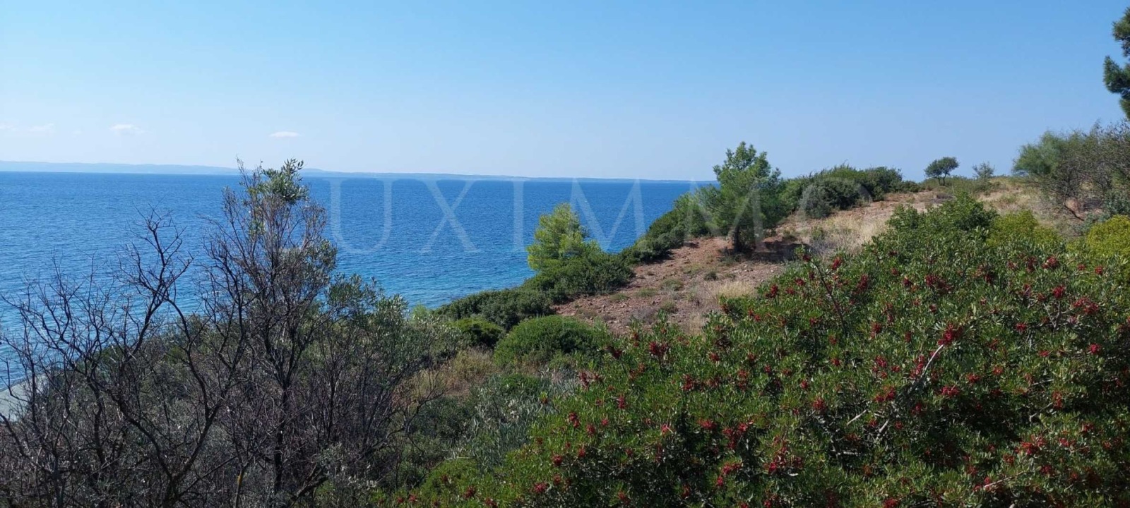 Продава ПАРЦЕЛ | Imot.bg — изображение 7