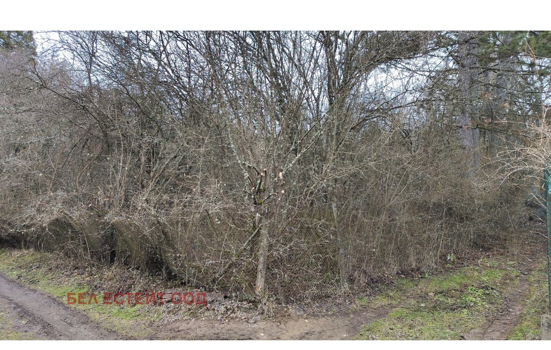 ������� ������ | Imot.bg � ����������� 2