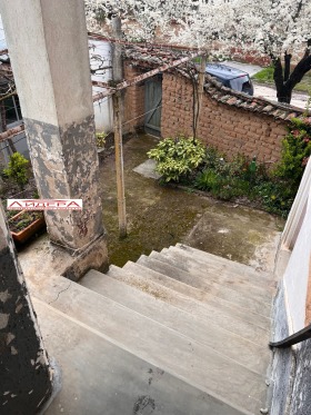 ������ ������� ����