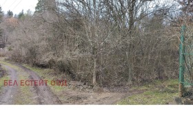 ����� ������� ������,�. ��������, ������ �����