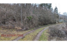 ����� ������� ������,�. ��������, ������ �����>