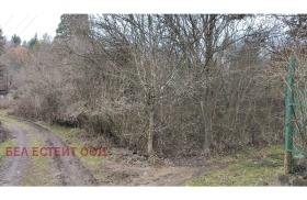 ����� ������� ������,�. ��������, ������ �����