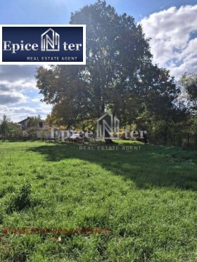 ������ ������� ������