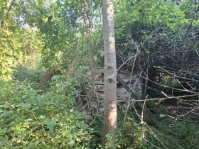 ������� ������ | Imot.bg � ����� ������ 2