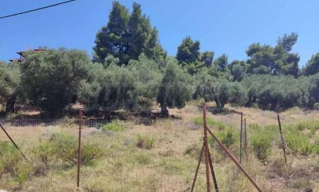 Продава ПАРЦЕЛ, Извън страната, област Извън страната, снимка 2 - Парцели - 51238984