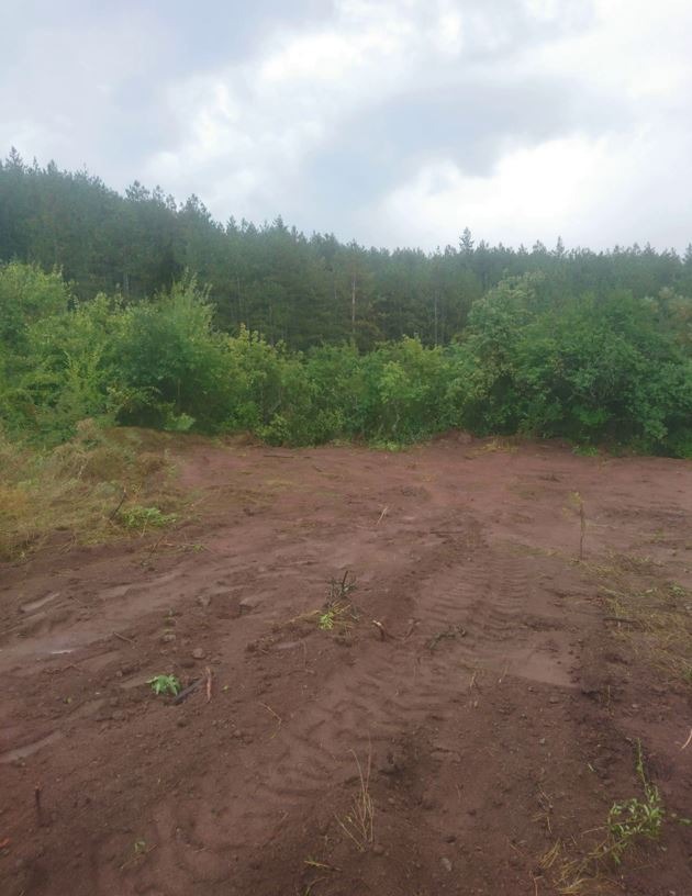 À venda  Trama Sofia , Novi Iskar , 391 m² | 90156750 - imagem [3]