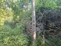 Продава ПАРЦЕЛ, гр. Априлци, област Ловеч, снимка 2