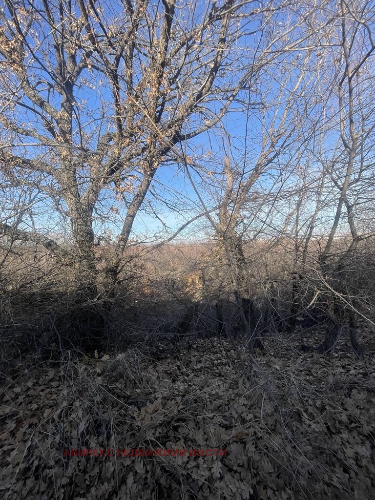 Продава ПАРЦЕЛ | Imot.bg — изображение 3