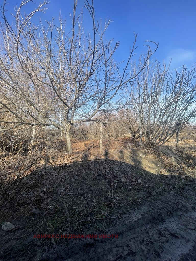 Продава ПАРЦЕЛ | Imot.bg — изображение 2