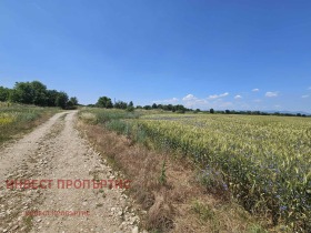   | Imot.bg    4