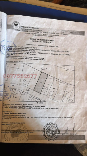 ����� ������� ������,�. ����������, ������ �����