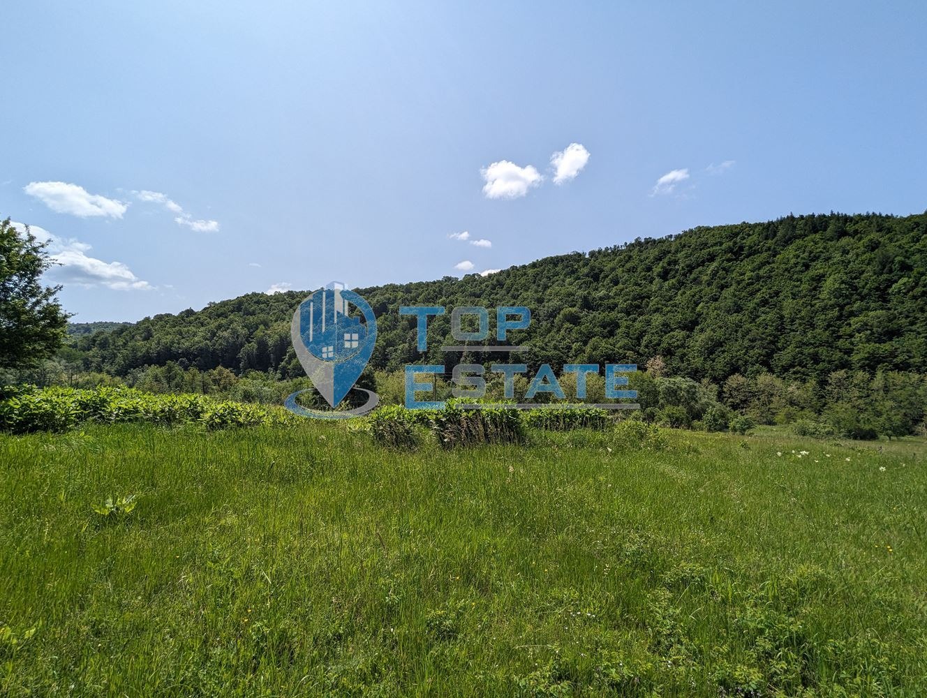 Продава ПАРЦЕЛ, с. Войнежа, област Велико Търново, снимка 3 - Парцели - 45950171