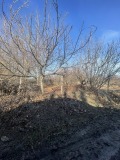 Продава ПАРЦЕЛ, с. Белащица, област Пловдив, снимка 2