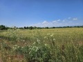 Продава ПАРЦЕЛ, град София, Левски Г • 658000 € • 13180544 — Holmes.bg