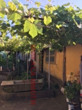 ������� ���� | Imot.bg � ����������� 7