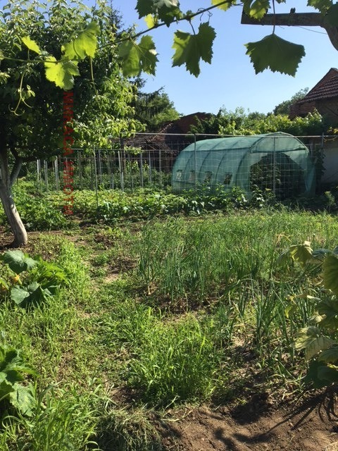 ������� ���� | Imot.bg � ����������� 15