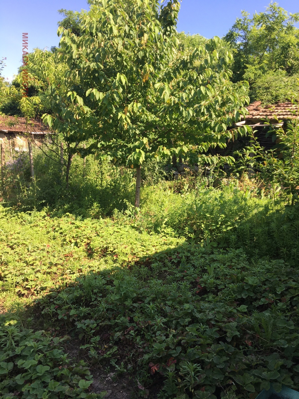 ������� ���� | Imot.bg � ����������� 16