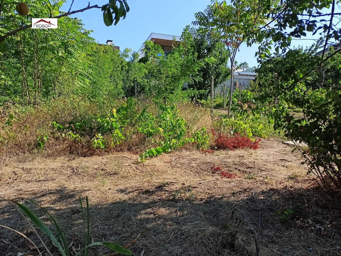 ������� ������ | Imot.bg � ����������� 2