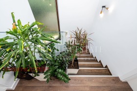 Haus Belashtiza, region Plowdiw 12