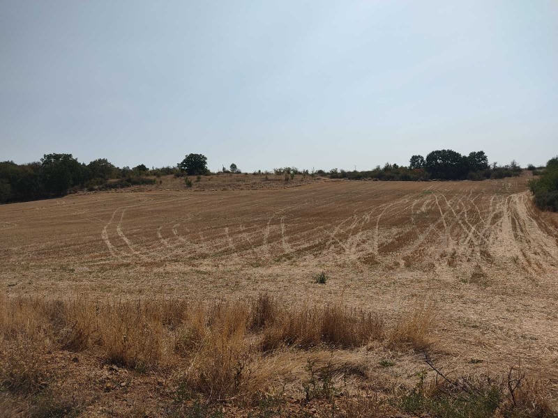 Προς πώληση  Οικόπεδο περιοχή Στάρα Ζαγόρα , Μαλκα Βερεια , 6000 τ.μ | 61319121 - εικόνα [4]