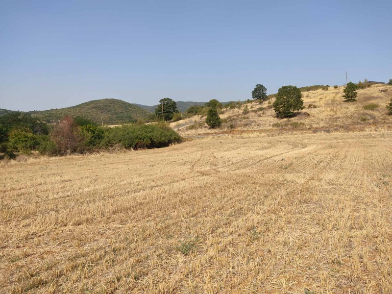 Zu verkaufen  Handlung region Stara Sagora , Malka Wereja , 6000 qm | 61319121 - Bild [2]