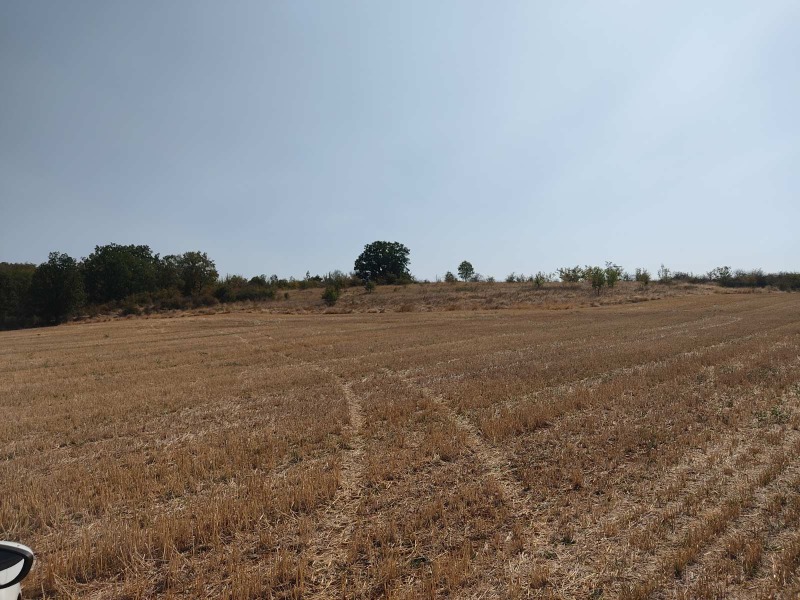 Zu verkaufen  Handlung region Stara Sagora , Malka Wereja , 6000 qm | 61319121 - Bild [3]