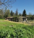 Продава ПАРЦЕЛ, с. Коиловци, област Плевен, снимка 1