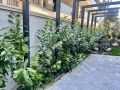 Продава  4-стаен град София , Павлово , 140 кв.м | 35075625 - изображение [9]