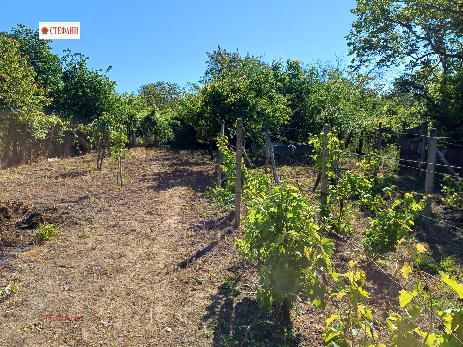 ������� ���� | Imot.bg � ����������� 8