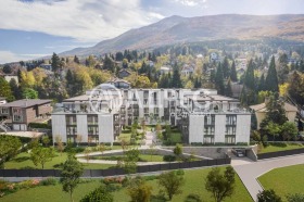 ����� ������� 3-�����,���� �����, �����