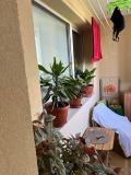 Продава 2-СТАЕН, град Плевен, Дружба 4 • 75000 € • 90204418 — Holmes.bg