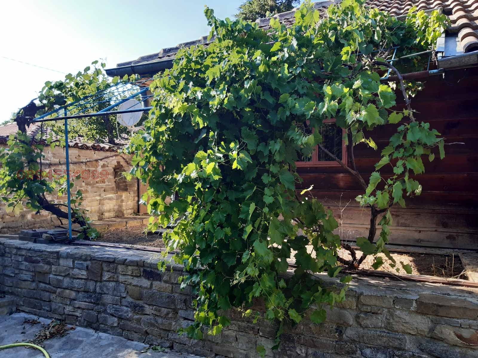 ������� ���� | Imot.bg � ����������� 13