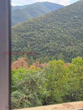 ������� 4-����� | Imot.bg � ����� ������ 5