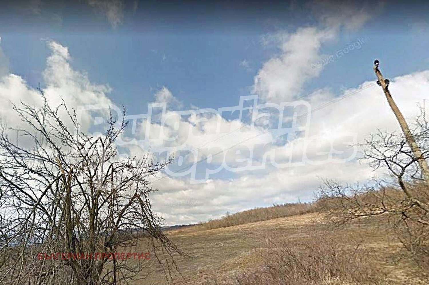 Продава ЗЕМЕДЕЛСКА ЗЕМЯ, с. Блъсковци, област Велико Търново, снимка 2 - Земеделска земя - 49906565