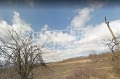 Продава ЗЕМЕДЕЛСКА ЗЕМЯ, с. Блъсковци, област Велико Търново, снимка 2