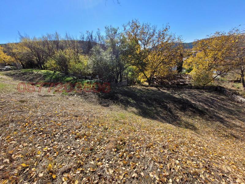 Продава ПАРЦЕЛ, с. Боснек, област Перник, снимка 2 - Парцели - 52785565